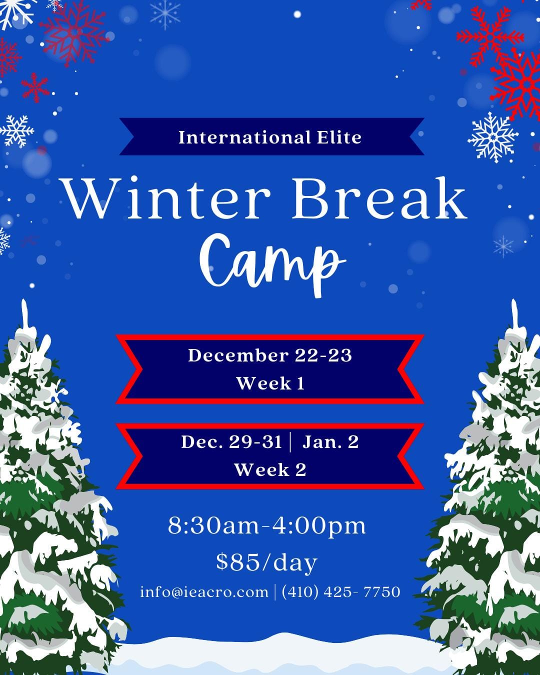 ❄️  Winter Break Camp